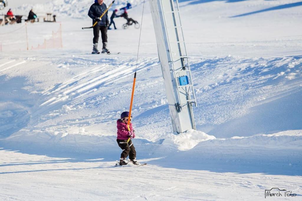 Flott Fritidsleilighet I Bualie Pa Golsfjellet Εξωτερικό φωτογραφία